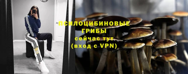 каннабис Арсеньев