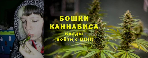 стафф Нефтегорск